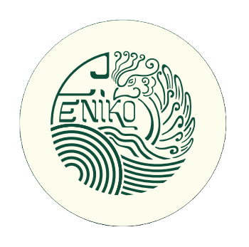 Eboat Feniko